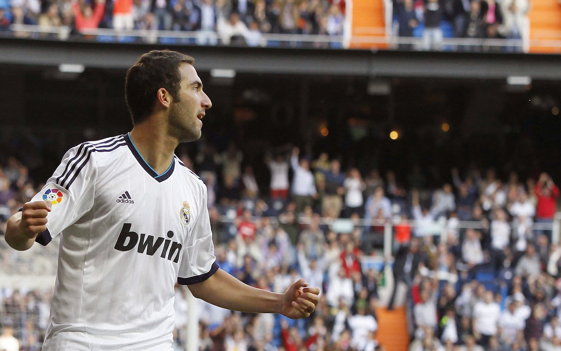 2026世界杯观赛指南，2026年世界杯球场巡礼